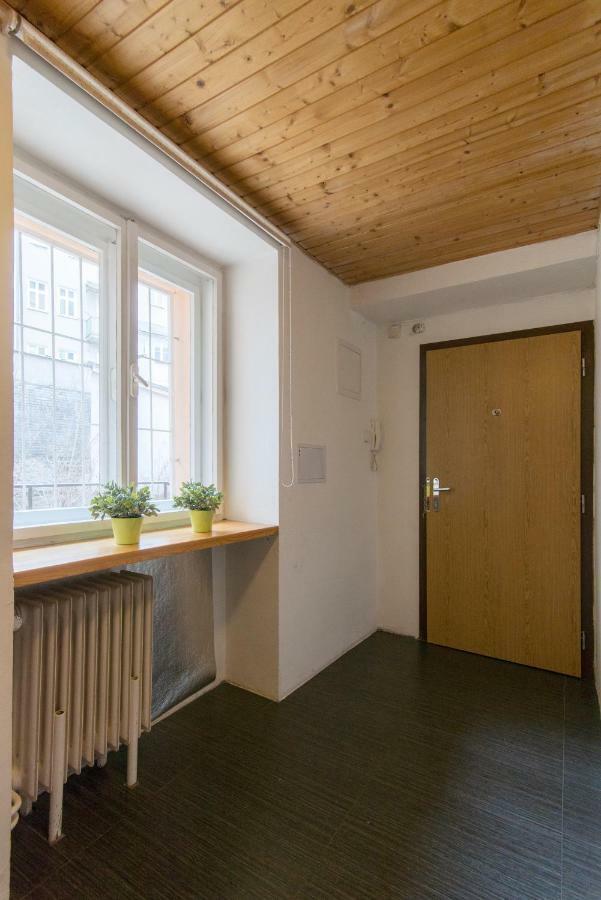 Spacious Apartment Near Wenceslas Square Prag Exterior foto